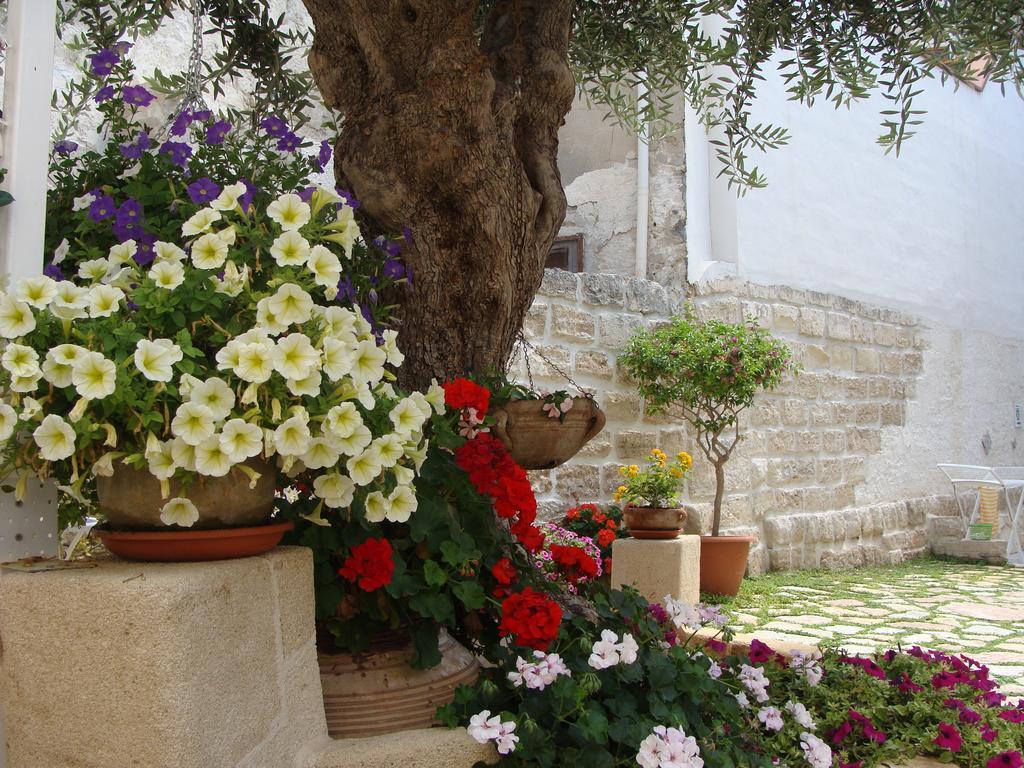 Al Gattopardo 3* Favignana